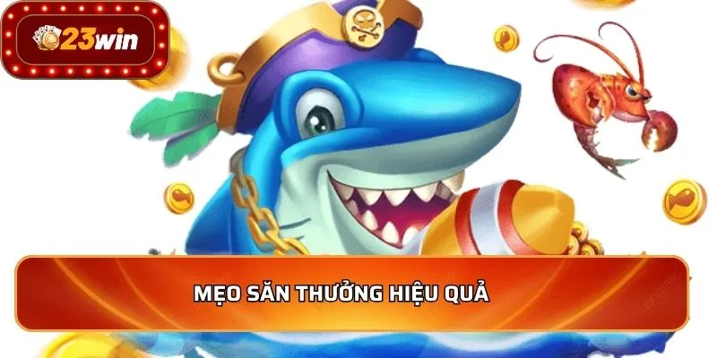 Mẹo săn thưởng hiệu quả    