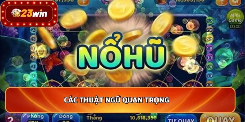 Các thuật ngữ quan trọng    